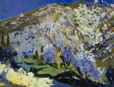 المناظر الطبيعيه بواسطة Joaquim Mir i Trinxet