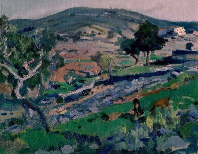 المناظر الطبيعيه بواسطة Joaquim Mir i Trinxet