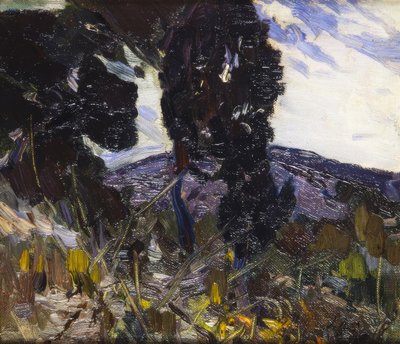 المناظر الطبيعيه بواسطة Joaquim Mir i Trinxet