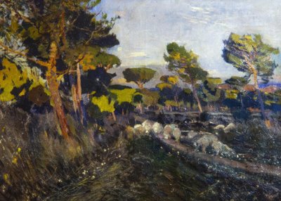 Ohne Titel بواسطة Joaquim Mir i Trinxet