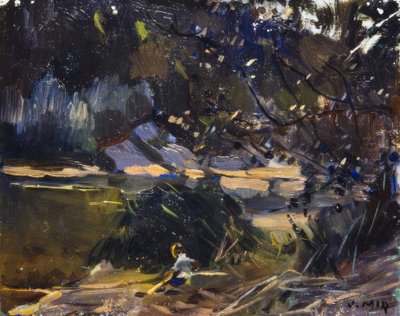 شجيرة بواسطة Joaquim Mir i Trinxet