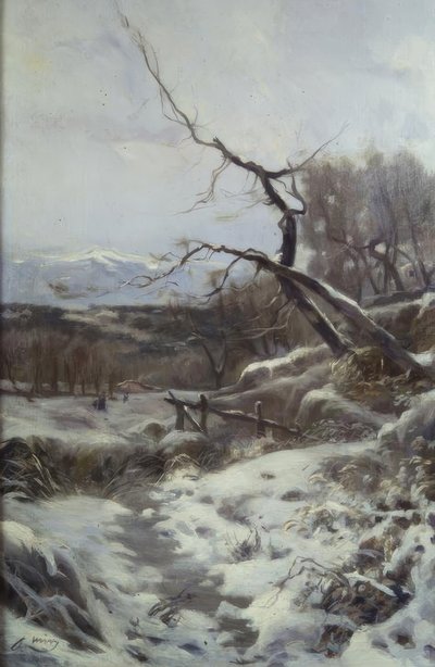 الشتاء بواسطة Joaquim Mir i Trinxet