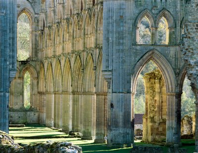دير Rievaulx ، c1990-2010 بواسطة جو كورنيش
