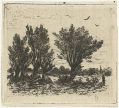 صف الصفصاف بواسطة Johan Frederik Croockewit
