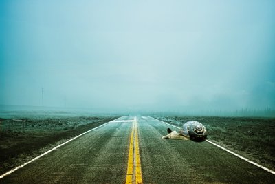 2020 طريق العودة، 2020 (فن التصوير الرقمي) بواسطة يوهان ليلجا