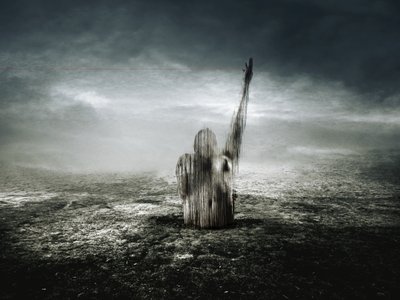 الخط الأحمر 2013 (تصوير) بواسطة يوهان ليلجا