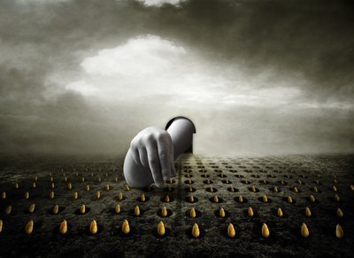 لص التوليب 2013 (تصوير) بواسطة يوهان ليلجا