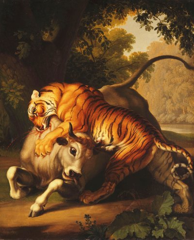 نمر يهاجم بول ، 1785 بواسطة Johan Wenzel Peter