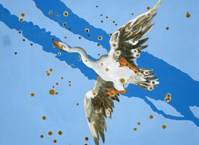 كوكبة Cygnus ، من Uranometria كتبها يوهان باير ونقشها ألكسندر ماير (1559-ج 1616) 1603 (نقش نحاسي ملون باليد) بواسطة يوهان باير