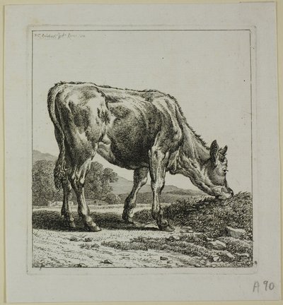 تغذية العجل ، من Die Zweite Thiernahme بواسطة Johann Christian Reinhart
