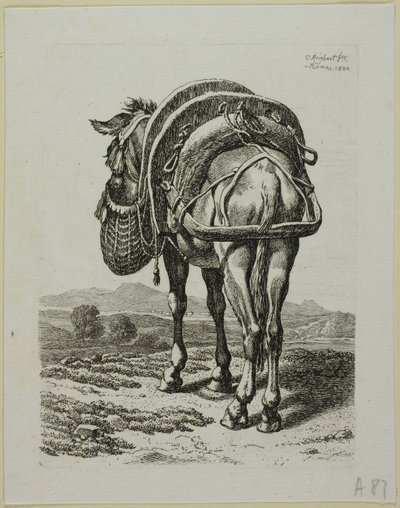 تغذية بغل - خلفي ، من Die Zweite Thier Folge بواسطة Johann Christian Reinhart