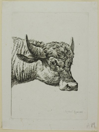 رأس جاموس ، من Die Zweite Thiernahme بواسطة Johann Christian Reinhart