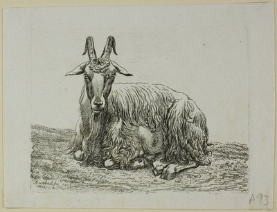 ماعز الكذب ، من Die Zweite Thiernahme بواسطة Johann Christian Reinhart