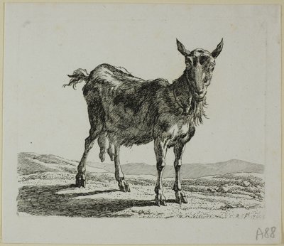الماعز الواقف ، من Die Zweite Thiernahme بواسطة Johann Christian Reinhart