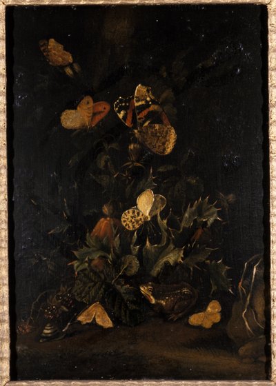 الزهور مع الفراشات والضفدع (زيت على خشب البلوط) بواسطة يوهان كريستيان توماس وينك