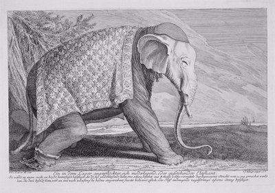 فيل بواسطة يوهان إلياس ريسينجر أو ريدينغر