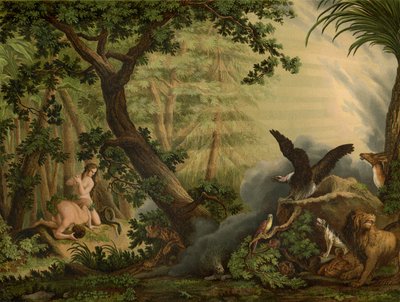 السقوط بواسطة يوهان إلياس ريسينجر أو ريدينغر