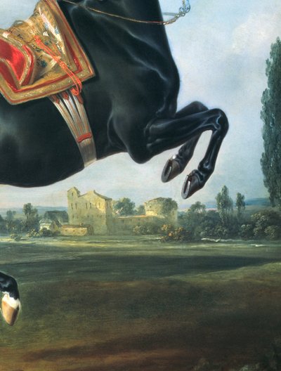 حصان أسود يؤدي الكوربيت (تفاصيل 65652) بواسطة Johann Georg Hamilton