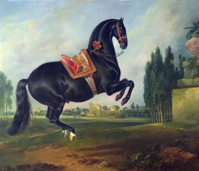حصان أسود يؤدي الكوربيت (لمزيد من التفاصيل انظر 264709) بواسطة Johann Georg Hamilton