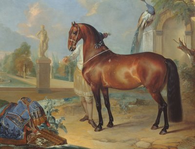 حصان الخليج "Sincero" بواسطة Johann Georg Hamilton