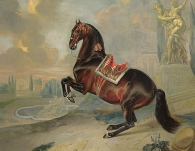 حصان الخليج الداكن "Valido" يؤدي حركة Levade بواسطة Johann Georg Hamilton