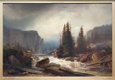 السيل بواسطة يوهان جوتفريد ستيفان