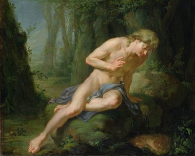 النرجس البري ، ج .1770 بواسطة يوهان هاينريش تيشباين