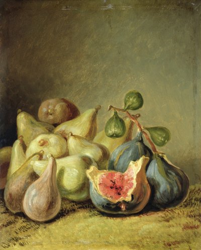 الفاكهة لا تزال الحياة بواسطة Johann Heinrich Wilhelm Tischbein