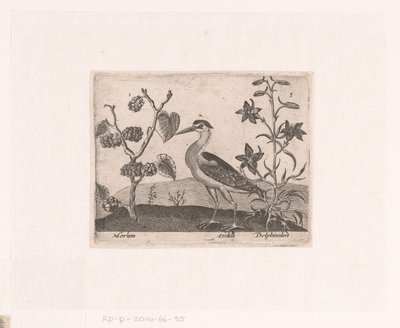 سلسلة مطبوعات بها أزهار وحيوانات في منظر طبيعي المناظر الطبيعية مع مالك الحزين و larkspur المناظر الطبيعية مع الحيوانات والنباتات والزهور (عنوان السلسلة) بواسطة يوهان هوغنبرغ (ربما)