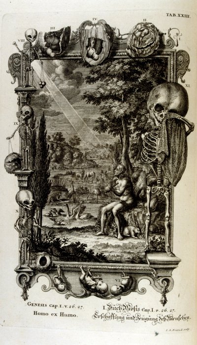 نقش على الصفيحة النحاسية من "Physica Sacra" بواسطة الباحث السويسري. يوهان جاكوب شيوتشر بواسطة يوهان جاكوب شيوتشر