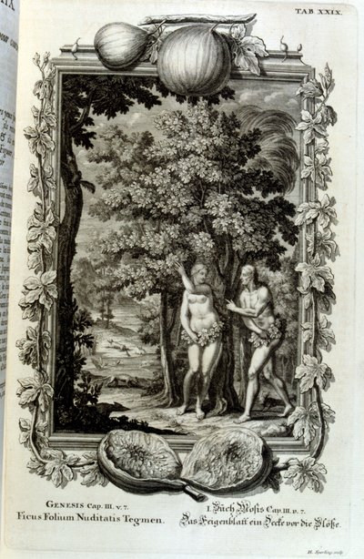 نقش على صفيحة نحاسية من كتاب Physica Sacra للباحث السويسري. يوهان جاكوب شوتشير بواسطة يوهان جاكوب شيوتشر