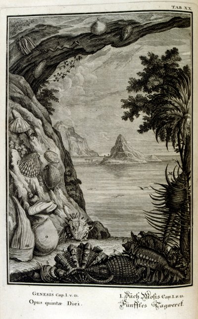 نقش على الصفيحة النحاسية من "Physica Sacra" بواسطة الباحث السويسري. يوهان جاكوب شيوتشر بواسطة يوهان جاكوب شيوتشر