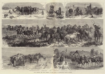 الحياة بين الخيول البرية في Puszta أو Heath Contry بواسطة Johann Nepomuk Schonberg