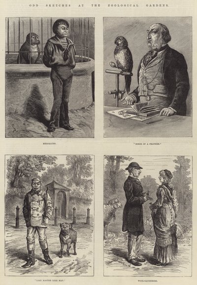 اسكتشات غريبة في حدائق الحيوان بواسطة Johann Nepomuk Schonberg