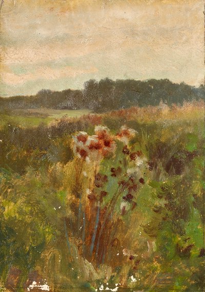 المناظر الطبيعية في النمسا السفلى بواسطة يوهان تيل الأصغر