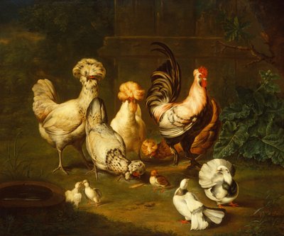 دواجن في منظر طبيعي (زيت) بواسطة يوهان ونزل بيتر