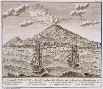 جزيرة تسمى "تيرنات" في حانة Moluccas. 1744. بواسطة يوهان فولفجانج هيدت