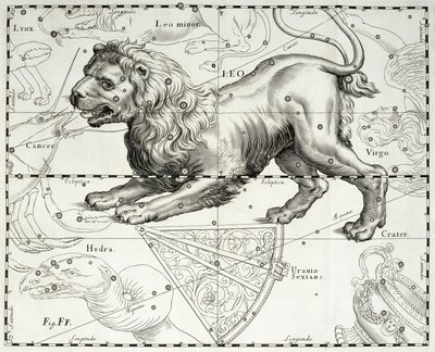 Leo, zodiacal constellation of Lion, illustration taken from Johann Hevelius