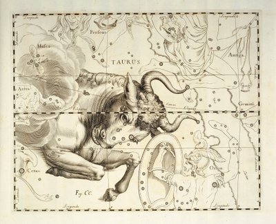 برج الثور، كوكبة برج الثور، نقش من الأطلس السماوي Firmamentum Sobiescianum sive Uronographia، بقلم يوهان هيفيليوس (1611-1687)، غدانسك بواسطة يوهانس هيفيليوس