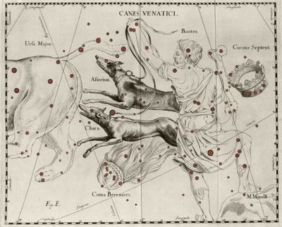 كوكبة قصب Venatici ، كلاب الصيد. لوحة مرسومة من "" Firmamentum Sobiescanum sive Uranographia "بواسطة يوهانس هيفيليوس أو هيفيل (1611-1687) بواسطة يوهانس هيفيليوس
