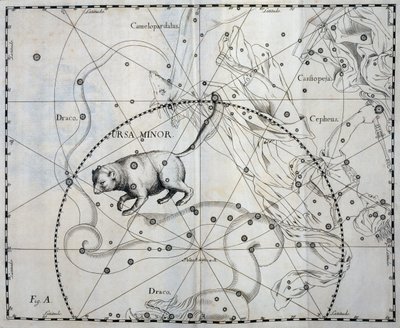 Ursa Minor ، كوكبة شمالية من Ursa Minor ، نقش من الأطلس السماوي Firmamentum Sobiescianum sive Uronographia ، بقلم يوهان هيفيليوس (1611-1687) ، غدانسك بواسطة يوهانس هيفيليوس