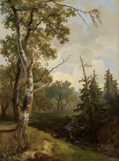منظر الغابة في Wolfheze. بواسطة صور يوهانس وارناردو