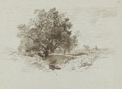 مجموعة من البلوط في Wolfheze بواسطة Johannes Warnardus Bilders