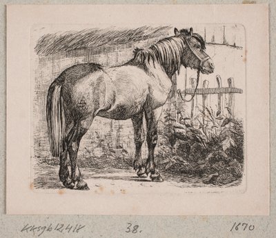 حصان مع رسن بواسطة Johannes Wilhelm Zillen