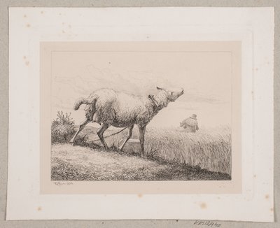 ثغاء شاة بواسطة Johannes Wilhelm Zillen