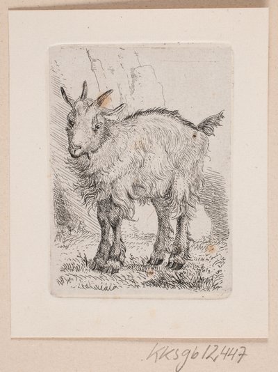 أن gedeks بواسطة Johannes Wilhelm Zillen