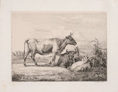 أبقار في الحقل بواسطة Johannes Wilhelm Zillen