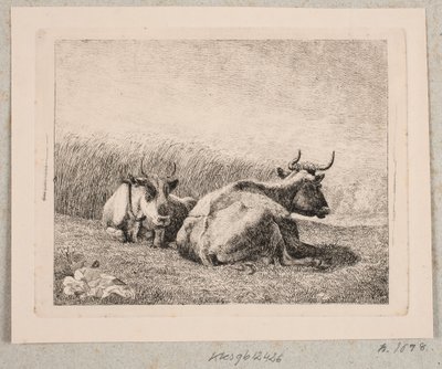 بقرتان تستريحان بواسطة Johannes Wilhelm Zillen