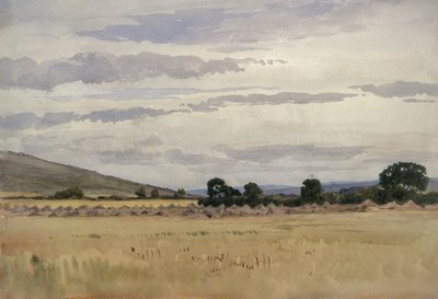 المناظر الطبيعية مع Cornfield (مرحاض على ورق) بواسطة جون أبسولون