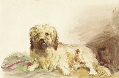 كلب الفنان ، c.1860 بواسطة جون آدم ب.هيوستن